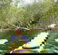 Half-Day Sydney Middle Harbour Guided Kayaking Eco Tour - Darwin Holiday