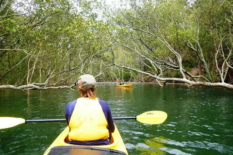 Half-Day Sydney Middle Harbour Guided Kayaking Eco Tour - Darwin Holiday 0