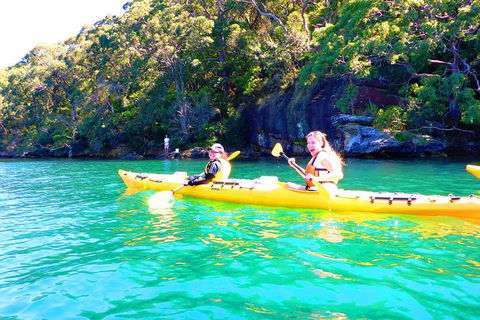 Half-Day Sydney Middle Harbour Guided Kayaking Eco Tour - Darwin Holiday 9