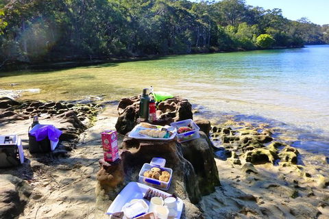 Half-Day Sydney Middle Harbour Guided Kayaking Eco Tour - Darwin Holiday 6