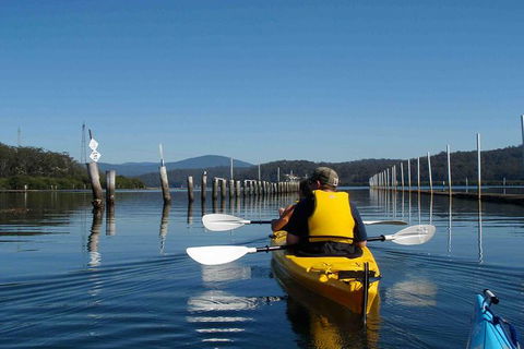 Batemans Bay Oyster Tasting Kayak Tour - Darwin Holiday 7