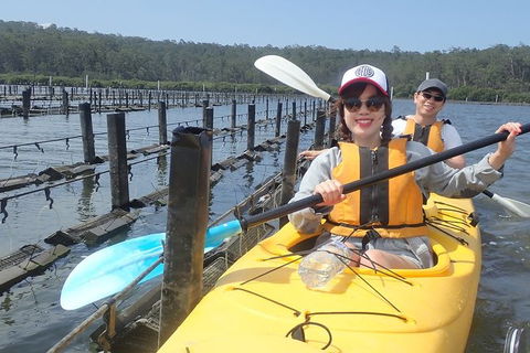 Batemans Bay Oyster Tasting Kayak Tour - Darwin Holiday 5