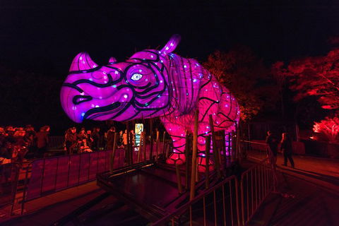 Escape The Airport & See Sydney With A Local: 100% Personalized & Private - Darwin Holiday 9