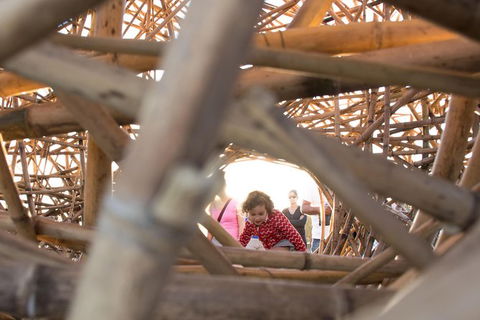 Escape The Airport & See Sydney With A Local: 100% Personalized & Private - Darwin Holiday 3