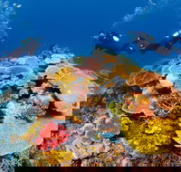 Agincourt Reef - Darwin Holiday