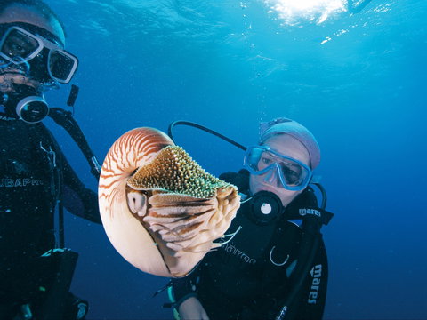 Agincourt Reef - Darwin Holiday 1