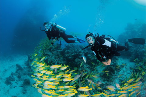 Agincourt Reef - Darwin Holiday 2