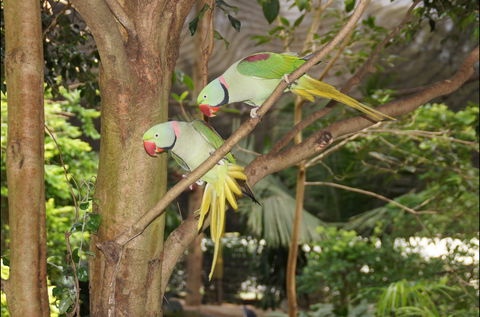 Apple Tree Creek - Darwin Holiday 2