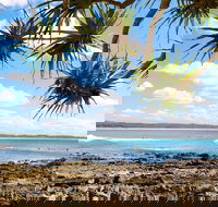Arrawarra-Corindi Beach - Darwin Holiday