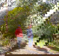 Arthurs Seat Circuit Walk - Darwin Holiday