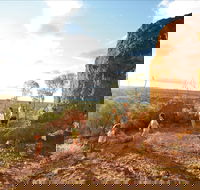 Baldy Top Lookout - Darwin Holiday