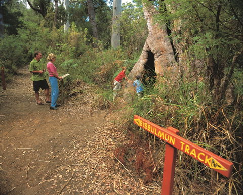 Bibbulmun Track - Darwin Holiday 1