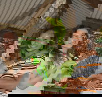 Birdworld Kuranda - Darwin Holiday