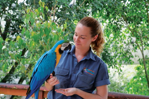 Birdworld Kuranda - Darwin Holiday 1