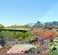 Bladensburg National Park - Darwin Holiday