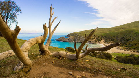 Blowhole Beach - Darwin Holiday 0