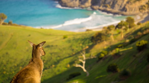 Blowhole Beach - Darwin Holiday 1