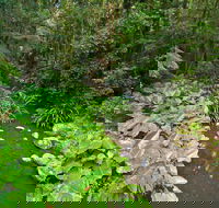 Brindle Creek Walking Track - Darwin Holiday