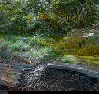 Browns Forest Loop Trail - Darwin Holiday