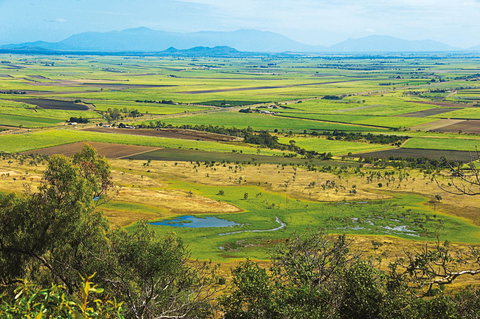 Burdekin - Darwin Holiday 1