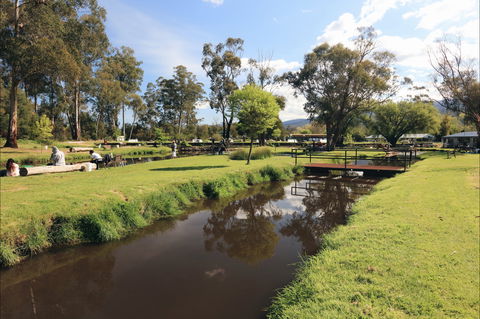 Buxton Trout And Salmon Farm - Darwin Holiday 1