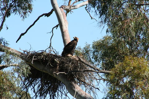Castle Creek Reserve - Darwin Holiday 0