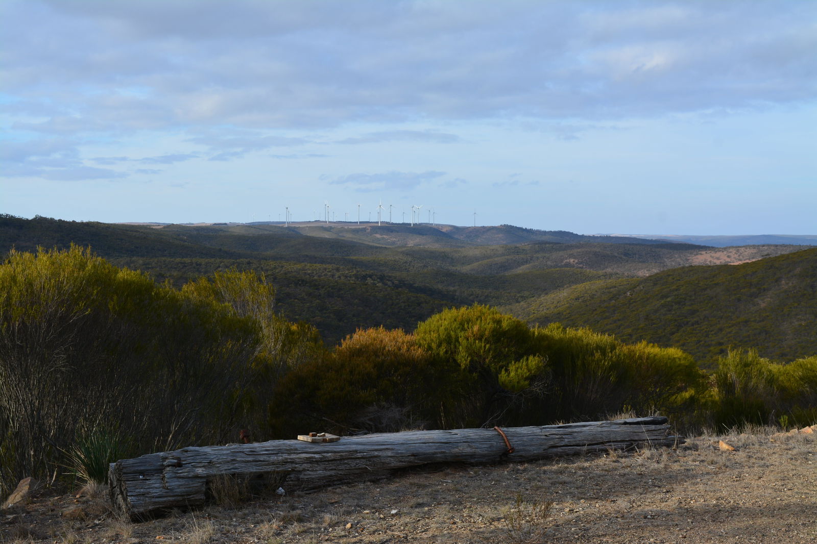 Cleve SA Darwin Holiday