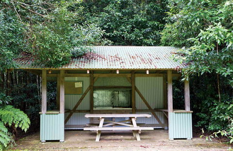 Coachwood Picnic Area - Darwin Holiday 0