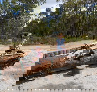 Crooked Brook Forest - Darwin Holiday