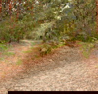 Daleys Point Walking Track - Darwin Holiday