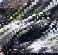 Darkes Forest - Darwin Holiday