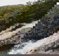 Davies Creek National Park and Dinden National Park - Darwin Holiday