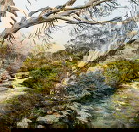 Dead Horse Gap walking track - Darwin Holiday