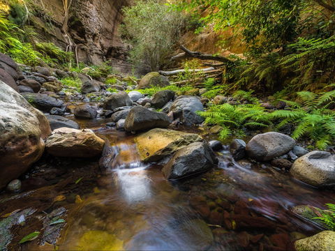 Dig The Tropic - Darwin Holiday 2