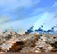 Dirk Hartog Island National Park - Darwin Holiday