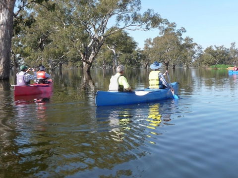 Doodle Cooma Swamp - Darwin Holiday 0