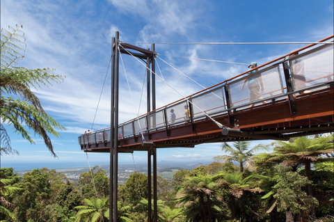 Forest Sky Pier, Sealy Lookout - Darwin Holiday 0