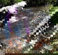 Fossicking - Darwin Holiday