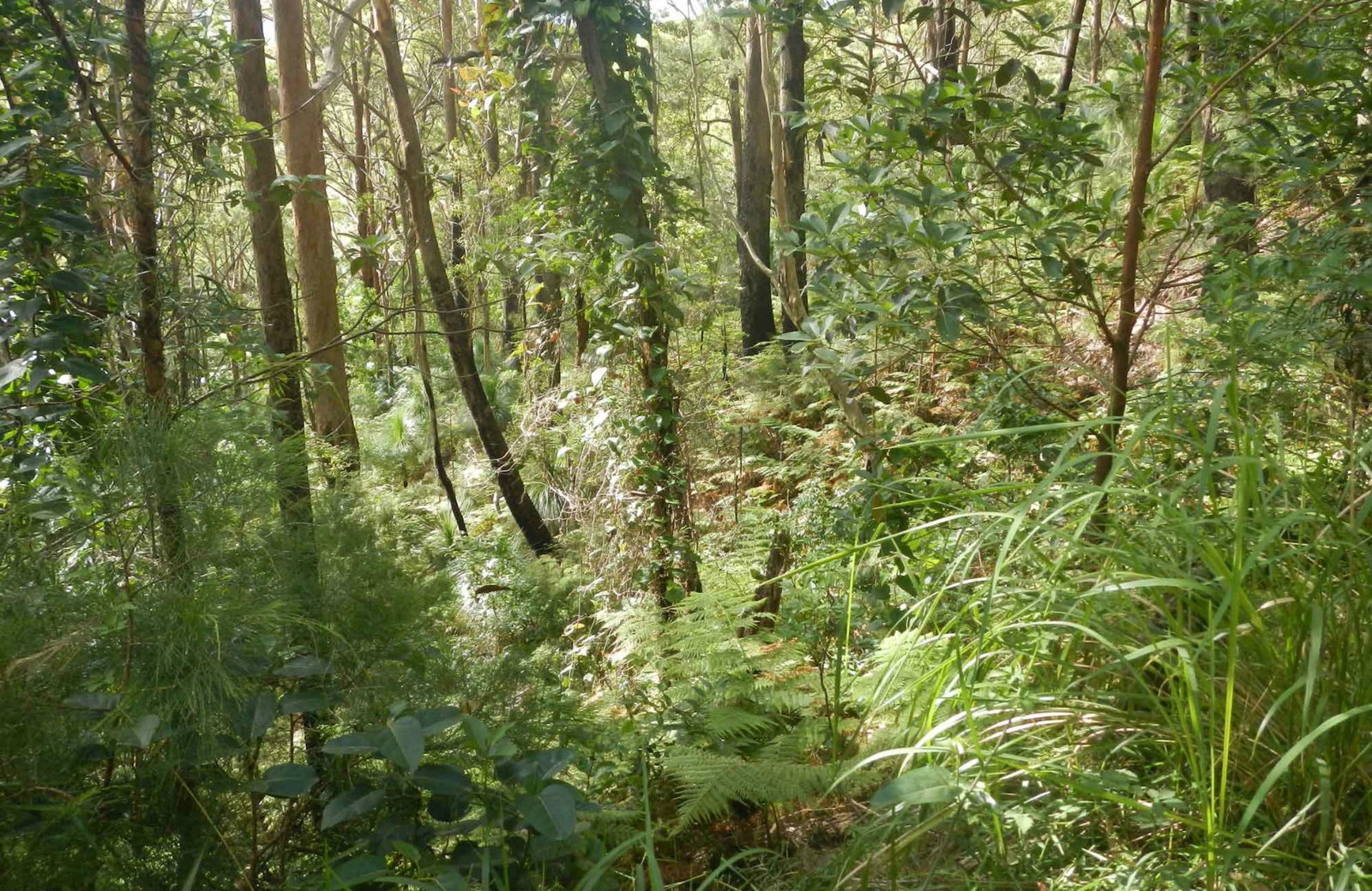 Arakoon NSW Darwin Holiday