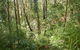 Gap Beach Walking Track - thumb 0