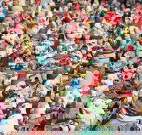 Gnomesville - Darwin Holiday