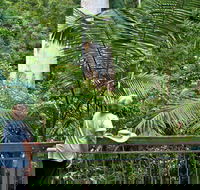 Grandis Picnic Area - Darwin Holiday