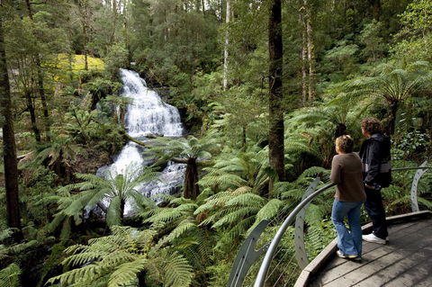 Great Otway National Park - Darwin Holiday 0