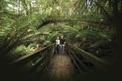 Great Otway National Park - Darwin Holiday 2