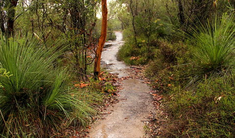 Great North Walk - Brisbane Water National Park - Darwin Holiday 0