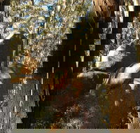 Gulaga National Park - Darwin Holiday