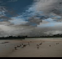 Hardwicke Bay - Darwin Holiday