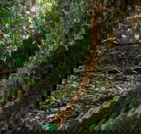 Hidden Treasure Track - Darwin Holiday