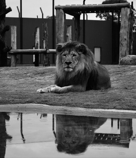 Hunter Valley Zoo - Darwin Holiday 0