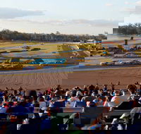 Ipswich Motorsport Precinct - Darwin Holiday